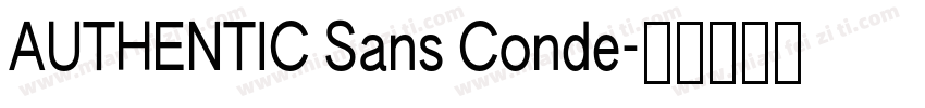 AUTHENTIC Sans Conde字体转换